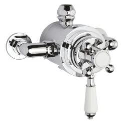 Bayswater Dual Thermostatic Exposed Valve With White Indices