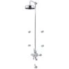 Perrin & Rowe Contemporary Shower Set D One Pewter -Home Bathroom perrin rowe cssd1pf