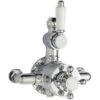 Premier® Premier Victorian Twin Thermostatic Shower Valve -Home Bathroom premier a3099e