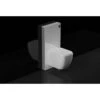 RAK Obelisk Cistern Cabinet For Wall Hung Pan White -Home Bathroom rak fs04rakcabwht