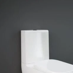 RAK Illusion Close Coupled Cistern