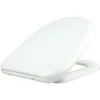 RAK Compact Quick Release Soft Close Wrap Over Urea Toilet Seat -Home Bathroom rak rakseat010